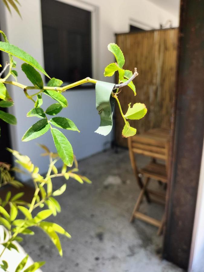 Casale Orgogliosa Hotell San Vito Chietino Exteriör bild